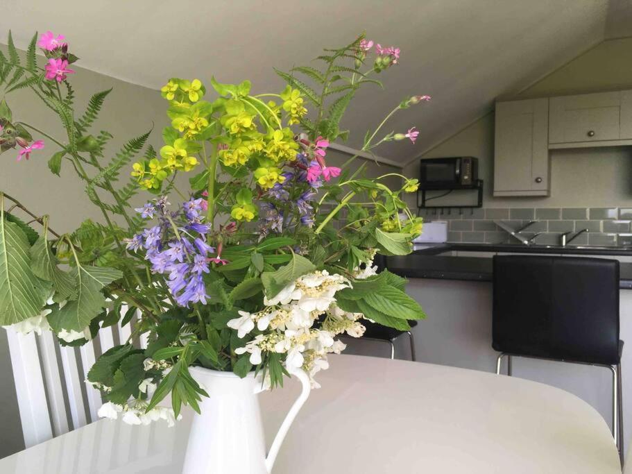 Beautiful Garden Cottage, Close To Llandeilo. Hoel-galed Buitenkant foto