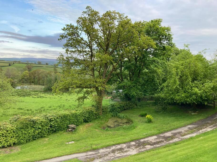 Beautiful Garden Cottage, Close To Llandeilo. Hoel-galed Buitenkant foto