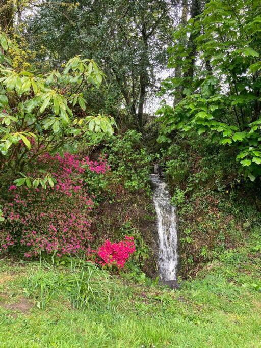 Beautiful Garden Cottage, Close To Llandeilo. Hoel-galed Buitenkant foto